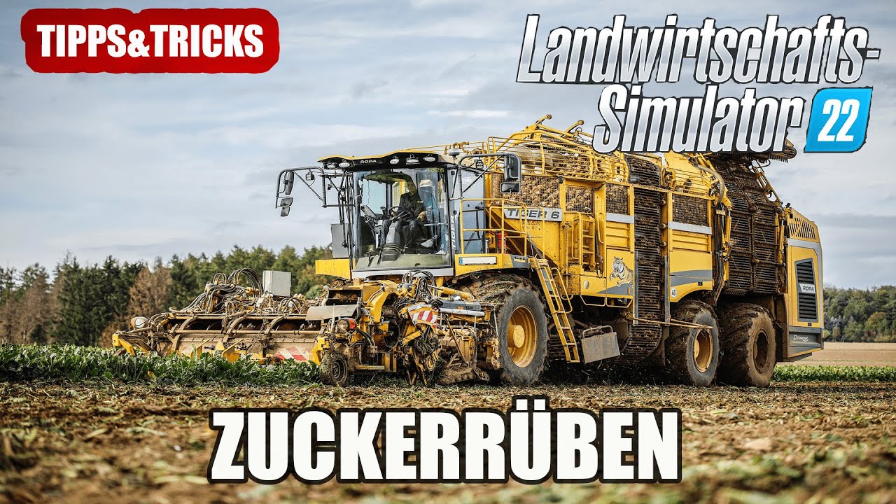 LS22 Zuckerrüben Schritt für Schritt Tipps&Tricks YouTube