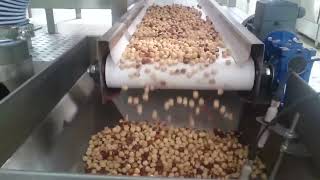 EVEROSAN - EVRO 7000 KAVURMA VE SEÇME HATTI ( ROASTING MACHINE )