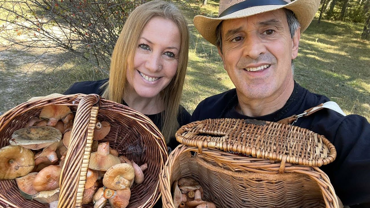 COMO LIMPIAR NISCALOS Y CONSERVARLOS (CUCODAMORE)