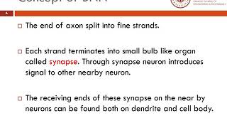 CS361 Soft Computing Module 1 Part 2