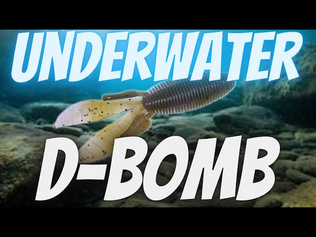 Missile Baits D Bomb Underwater Tank Test / STRIKE KING Swing Jig / Bass  Fishing Tackle Technique 