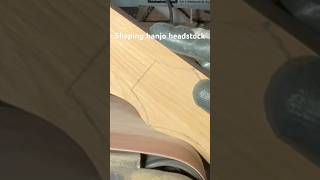 Rough shaping my next banjo neck! Net Worth