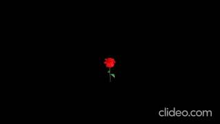 Rosa F Lopes Compilado De Biquini