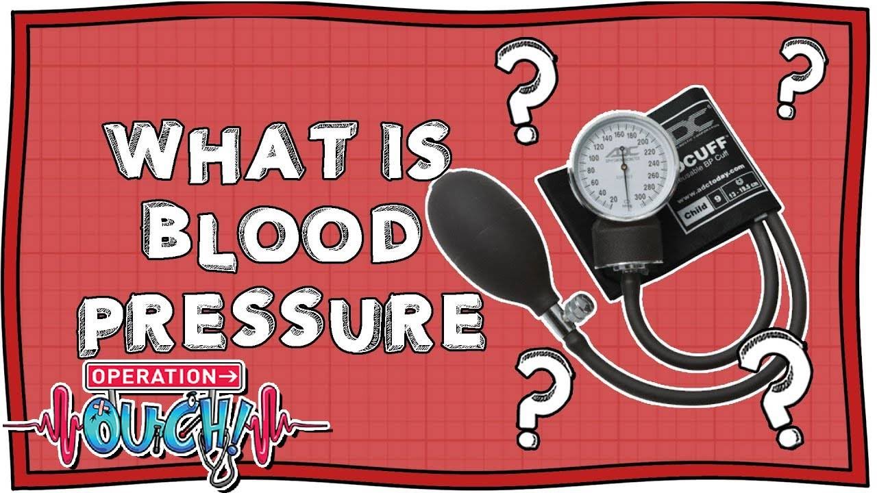 What Is Blood Pressure Operation Ouch Nugget Youtube What Is Blood Pressure Operation Ouch Nugget Youtube
