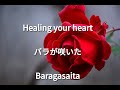 ♪癒しのヒーリング ミュージック♪バラが咲いた Baragasaita 0013/1000