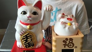 What's inside a Lucky Cat?