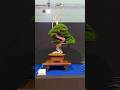 Juniper Bonsai for you🌳#bonsai #naruto #hashirama #beautiful #nature