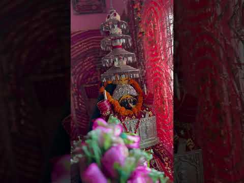 माँ भद्रकाली दिव्य दरबार भानियावाला (देहरादून) ❤️🙏 #uttarakhand #jaymataji #jayshreeram  #maakali