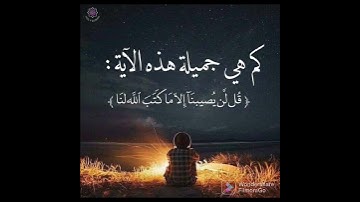 آية تبعث على الطمأنينة واليقين #قرآن_كريم #تلاوة_خاشعة #قران_كريم_ارح_سمعك_وقلبك #تلاوات #قران