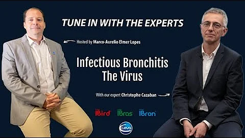 Infectious Bronchitis: The virus, the mutations, and classification (with Christophe Cazaban)
