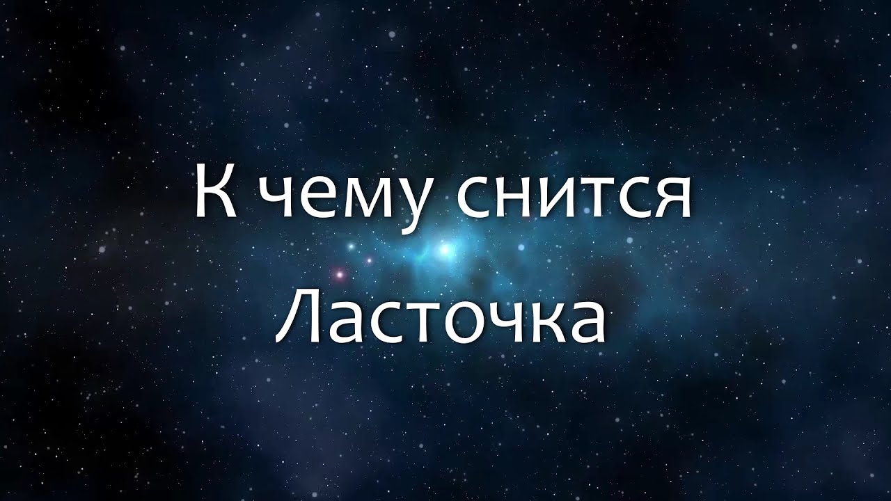 К чему снится Ласточка (Сонник, Толкование снов)