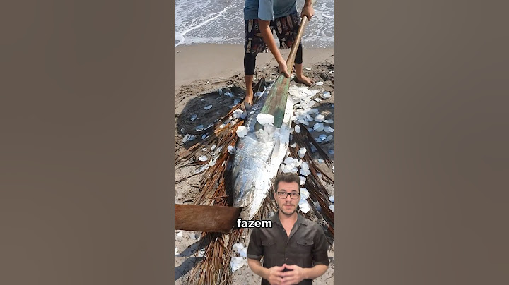 Por que eles pegam as escamas desse peixe? 🤔