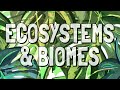 Ecosystems and Biomes Quiz