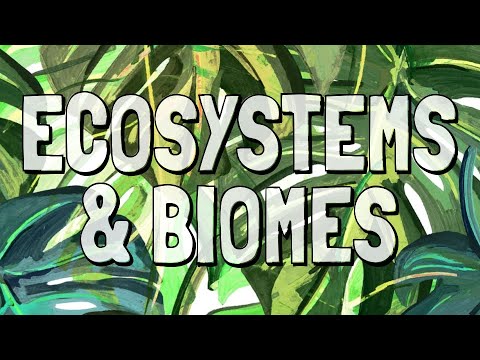 Ecosystems and Major
