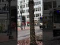 TriMet MAX Light Rail passing by
