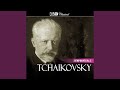 Miniature de la vidéo de la chanson Symphony No. 5 In E Minor, Op. 64: 1. Andante - Allegro Con Anima