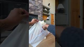 Some Packages Are Full Of Fluffy Surprises