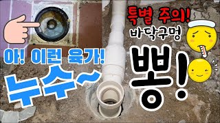 (영상 75) 아! 이런 육가 누수! 특별히 주의하세요. 바닥 구멍 뽕!(액체방수, 도막방수)
