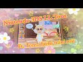 2025 Nintendo 3DS XL tour (Cute games/case)