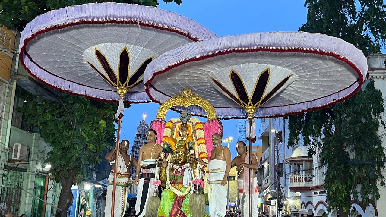 Thiruvallikeni Sri Parthasarathy Perumal Aadi garuda Vahana purappadu Gajendra moksham| Aadi Garudan