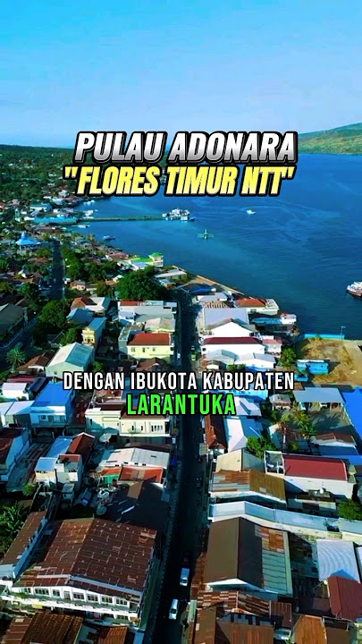 Pulau adonara flores timur Ntt#shortvideo #shortsviral #shorts #short #shortvideo