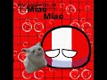 ●|El miao| #countryballs #meme #animations #rumo40k