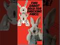 This Rabbit sold for Shocking Price!#shorts #animals #viral #trending