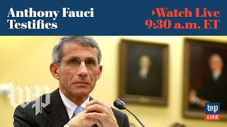 Anthony Fauci testifies at Senate coronavirus hearing   - 5\/12 (FULL LIVE STREAM)