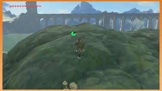 Noted internet douchebag Arin Hanson Profile