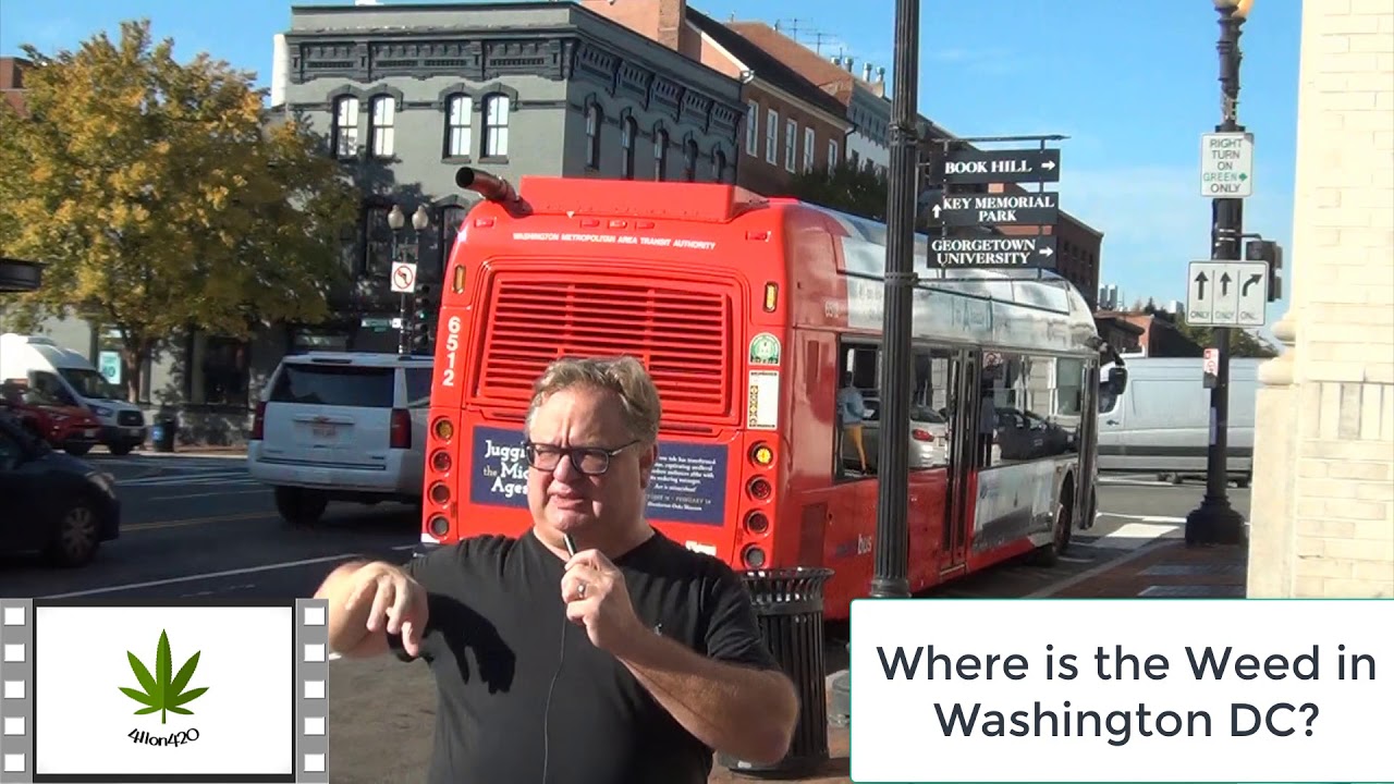 411on420 On the Road Where is the Weed in Washington DC? YouTube