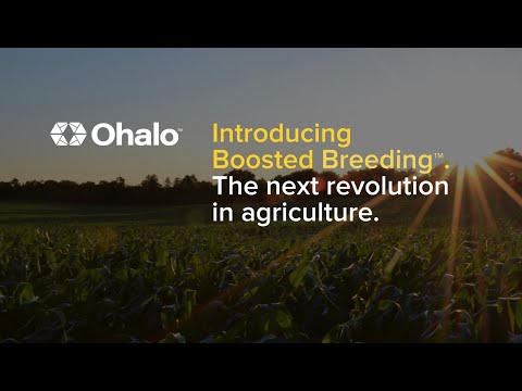 Ohalo™ Announces the Discovery of Boosted Breeding™