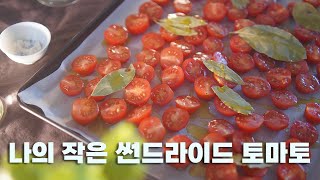 썬드라이 토마토 만드는 법 ♪ 나중에 먹으려고 썬드라이드 토마토 만들기 ♪ 우리는 아마추어니까 재미있게 만들어요