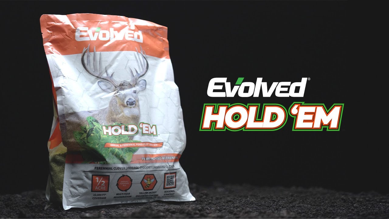 Evolved Hold ’Em® Food Plot Seed - YouTube