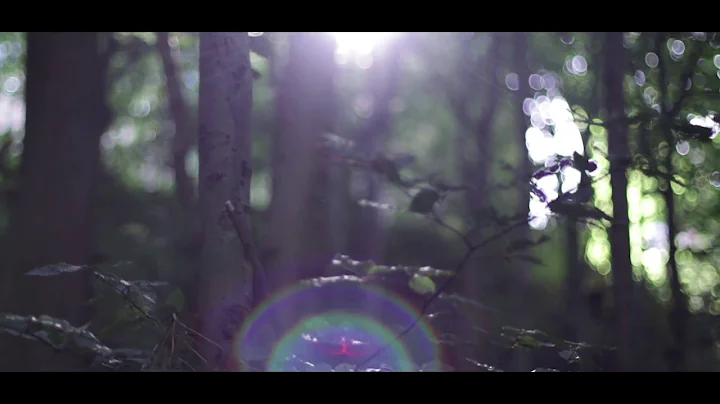 Daniel Vickers - Building Blocks - Official Video