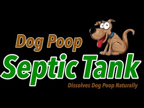 Comment dissoudre merde de chien-fosse septique de merde de chien-dissout merde de chien
