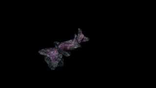 11052015 Nudibranch Animation 002