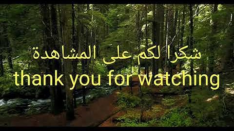 تلاوة خاشعة ومؤثرة ما شاء الله ترتاح لها النفس the holy Quran