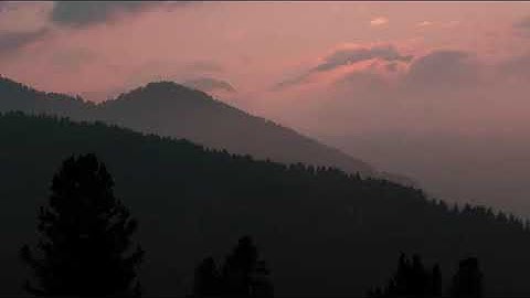 تلاوة شجية كلها جمال ترق لها القلوب