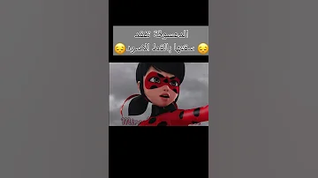 الدعسوقة لم تعد تثق بالقط الاسود هذا محزن تصميم ميراكلوس الدعسوقة والقط الأسود 