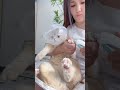🐾猫に嫌われずに爪切りする方法見つけました😻 #猫用品 #petlife