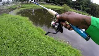 NEW POND PT#2 I'LL NEVER USE MEAL WORMS AGAIN!!!!!!