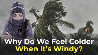Why Do We Feel Colder When It’s Windy | Science Explained