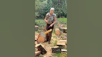 #shorts  processing firewood #treecutting #logger #wood #chainsaw #axemanship #axe #chopping