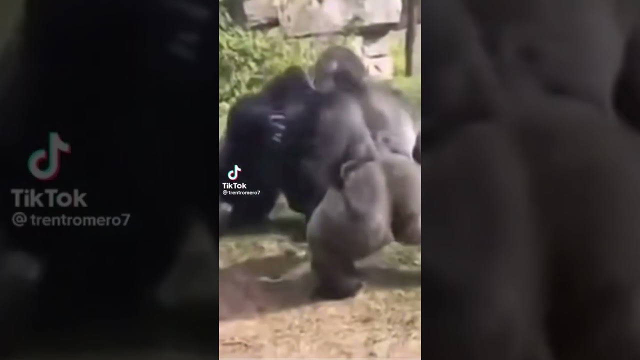 Gorilla Glue??? or Flex seal