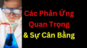 Các Phản Ứng Hóa Học Quan Trọng & Sự Cân Bằng | Tri Thức Nhân Loại
