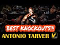 5 antonio tarver greatest knockouts