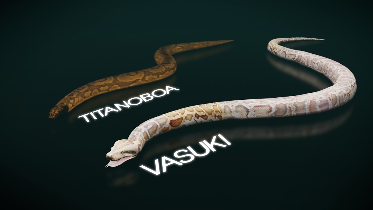 Titanoboa Was Never The Biggest Snake.. This Was