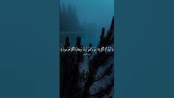 سورة المؤمنون للقارئ ياسر الدوسري #quran #اسلام #قرآن #قران_كريم #islamicvideo #qurantilawat#fyp