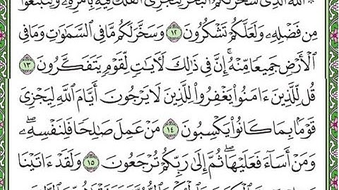 سورة الجاثية مكررة الآيات من 12 إلى 15 Surah Al-Jathiya repeated