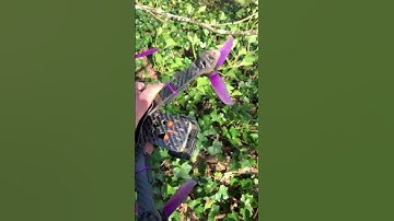 Almost lost my drone 🤦‍♂️💥 #top #shorts #subscribe #video #gopro #fpv